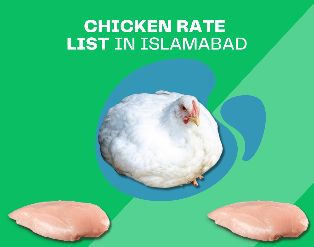 Today chicken rate in Islamabad